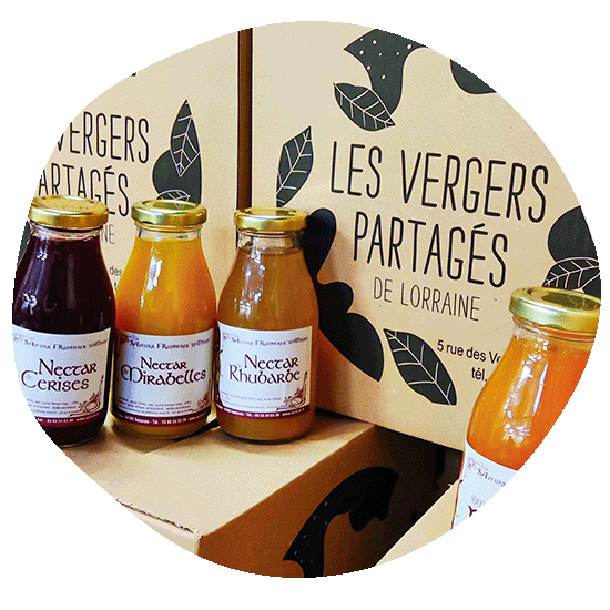 Pressage de vos propres fruits jus nectars compotes Les Vergers Partages de Lorraine
