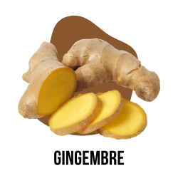 Gingembre