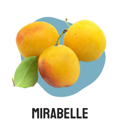 Jus Nectars Compotes Mirabelle Les Vergers Partages de Lorraine